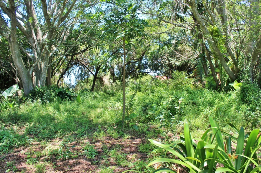 0 Bedroom Property for Sale in East Bank Eastern Cape